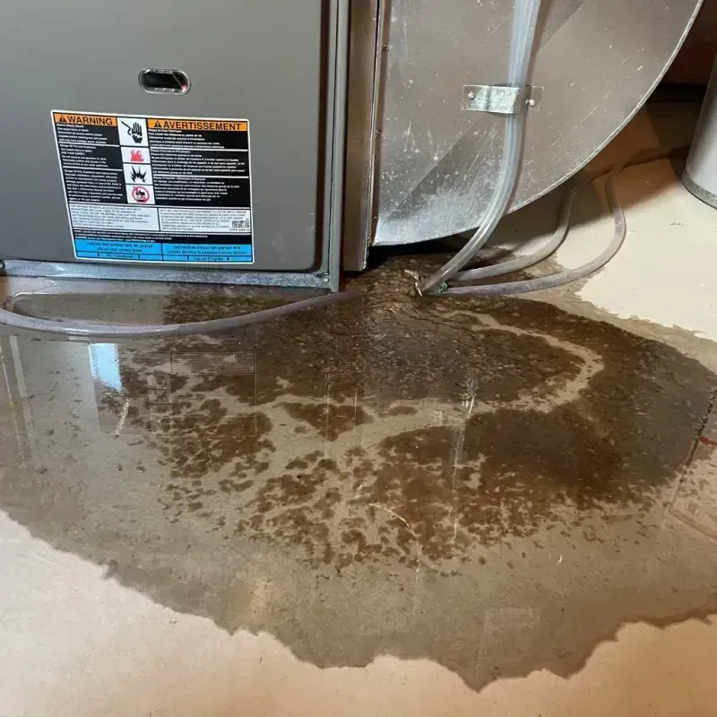 Appliance Leak Cleanup in Uintah, UT